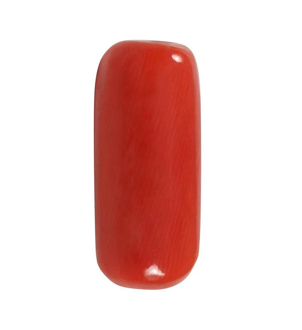 Moonga (Red Coral)